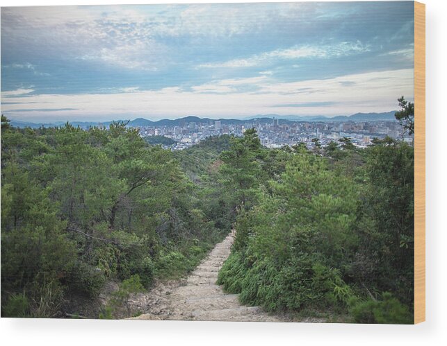 Steps Wood Print featuring the photograph A Path Leading Up A Mountain With City by Trevor Williams