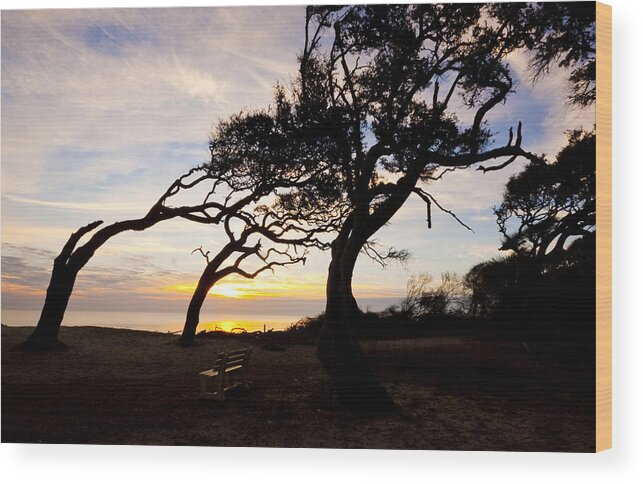 Light Wood Print featuring the photograph A Place to watch the Sunrise by Michael Ray