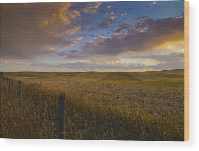 Farming Wood Print featuring the photograph A Prairie Sunset by Bill Cubitt