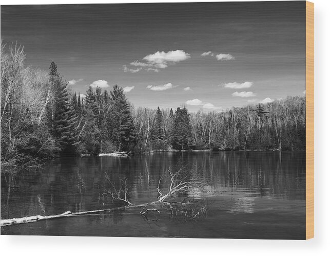 Monochrome Landscape Wood Print featuring the photograph A Quiet Cove by Dan Hefle