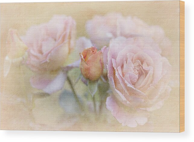Blossoms Wood Print featuring the photograph A Rose By Any Other Name by Theresa Tahara