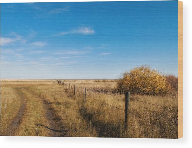Rural Wood Print featuring the photograph A Simple Fence by Allan Van Gasbeck
