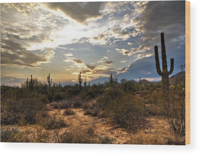 Sunset Wood Print featuring the photograph A Sonoran Desert Sunset by Saija Lehtonen