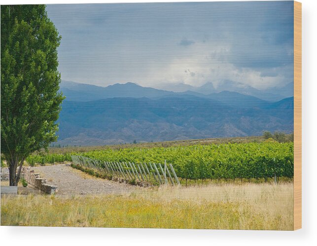 Vines Wood Print featuring the photograph Storm on the Horizon #2 by Kent Nancollas