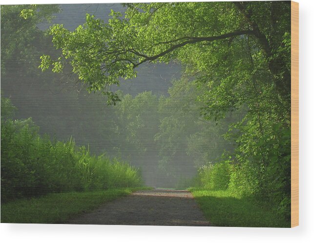 Green Wood Print featuring the photograph A Touch of Green by Douglas Stucky