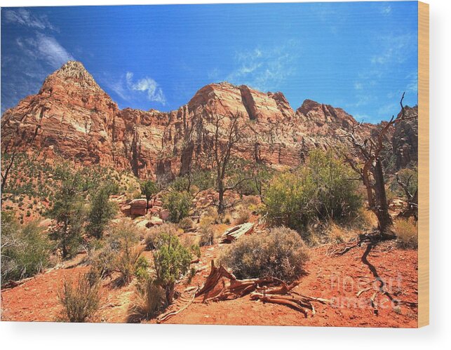 Zion National Park Wood Print featuring the photograph A View Along The Watchman by Adam Jewell