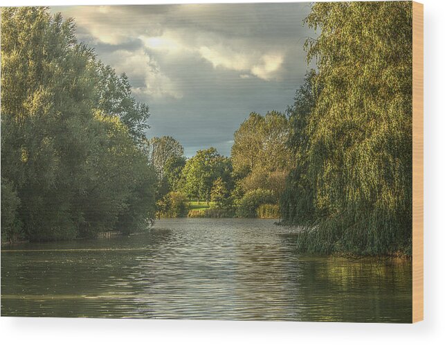 Canon Wood Print featuring the photograph A View Down the Lake by Jeremy Hayden