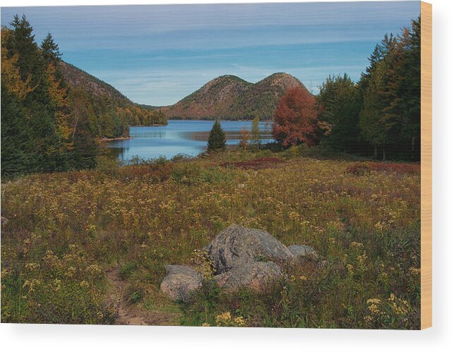 Acadia Wood Print featuring the photograph A View of Jordan Pond by Darylann Leonard Photography