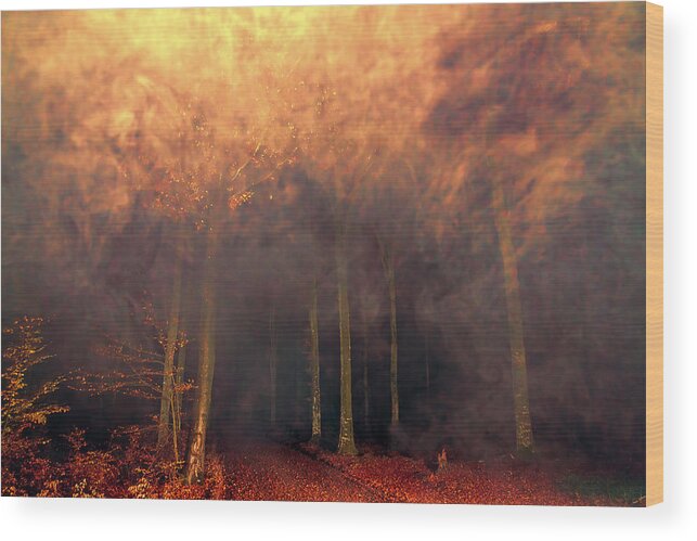 Dreamscape Wood Print featuring the photograph A Waking Dream. by EXparte SE