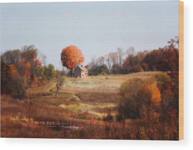 Landscape Wood Print featuring the photograph A Walk In the Meadow by Trina Ansel