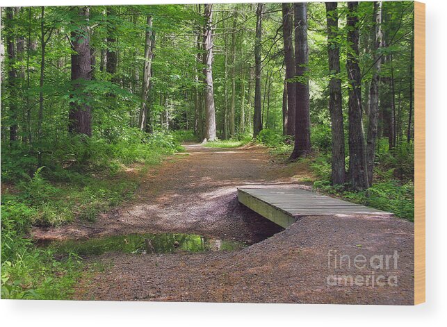 Creek Wood Print featuring the photograph Into The Woods #1 by Geoff Crego