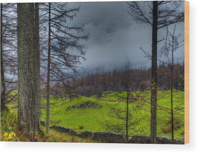 Europe Wood Print featuring the photograph A Walk through The Lake District by Dennis Dame