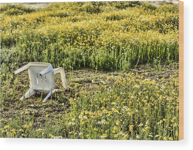 Flower Fields Wood Print featuring the digital art Abandoned Chair by Photographic Art by Russel Ray Photos