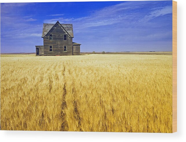 Abandoned Wood Print featuring the photograph Abandoned Farmhouse by Dave Reede