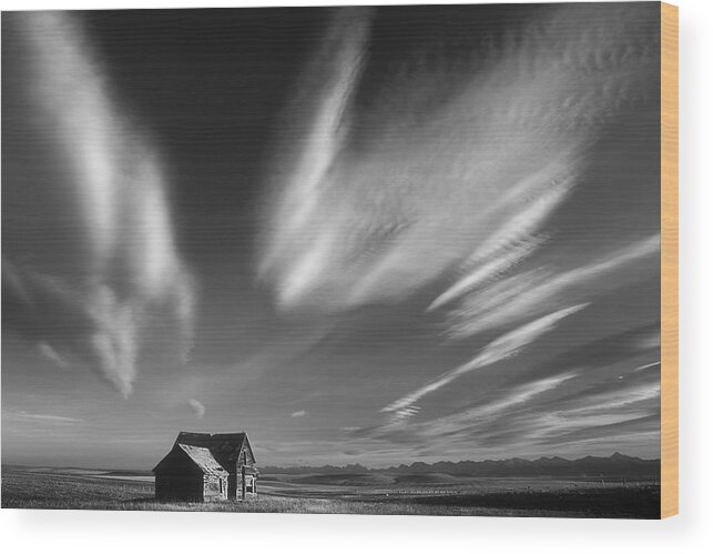 House Wood Print featuring the photograph Abandoned in Alberta by Inge Riis McDonald
