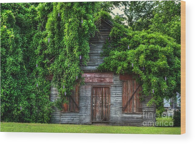 Scenic Wood Print featuring the photograph Abandoned by Kathy Baccari