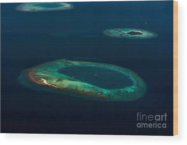 Atoll Wood Print featuring the photograph Above Paradise - Turtle by Hannes Cmarits