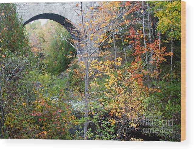 Maine Wood Print featuring the photograph Acadia Carriage Bridge by Chris Scroggins