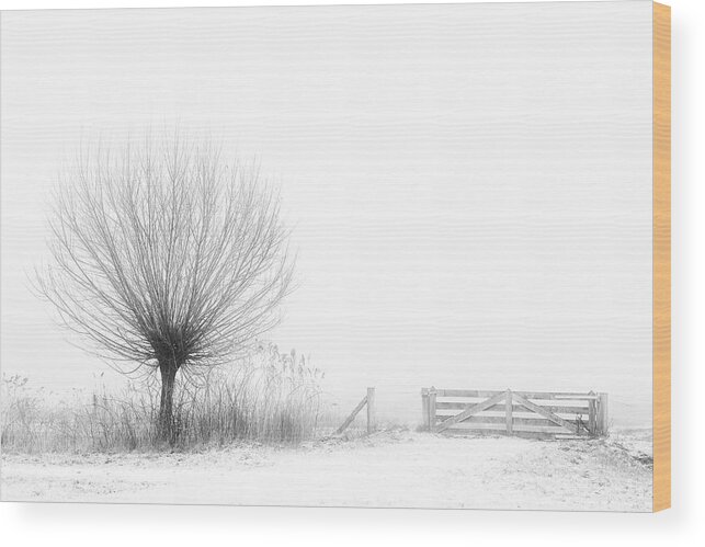 Landscape Wood Print featuring the photograph Access To Fog by Greetje Van Son