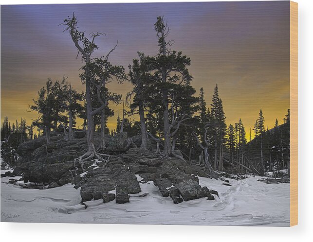 Mountains Wood Print featuring the photograph Accordance by Jon Blake