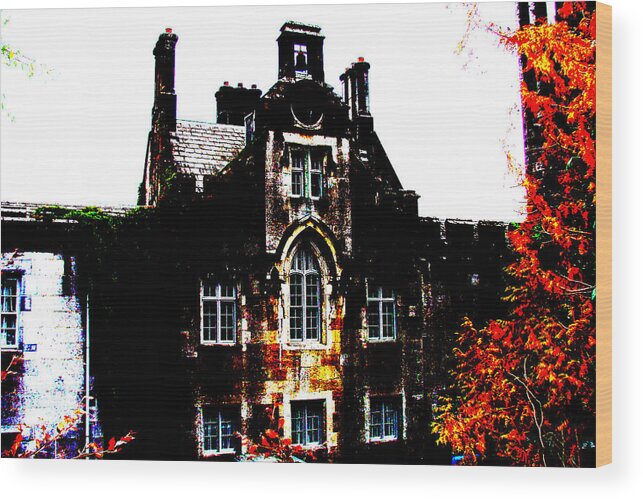Castle Wood Print featuring the photograph Adare Manor by Norma Brock