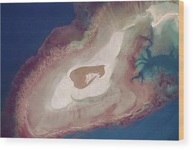 Island Wood Print featuring the photograph Adele Island by Nasa