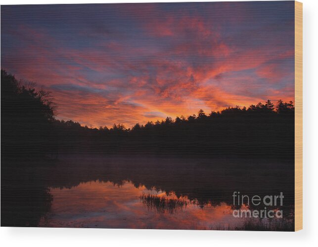 Sunrise Wood Print featuring the photograph Adirondack Sunrise by Chris Scroggins