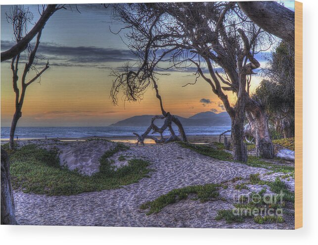 Beach Wood Print featuring the photograph Adventures at Sunset Beach by Mathias 