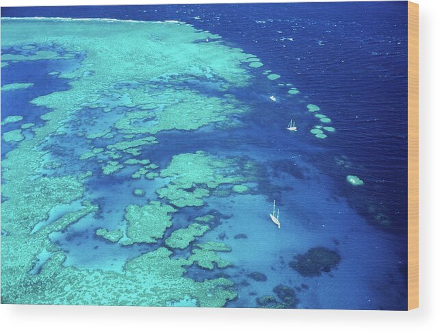 Sailboat Wood Print featuring the photograph Aerial Of Sailboats At Hardy Reef, Near by Holger Leue