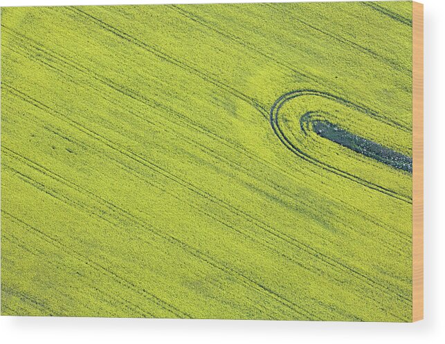 Tranquility Wood Print featuring the photograph Aerial View Of Oil Seed Rape Field by Allan Baxter