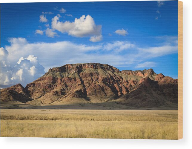 110325 Sossusvlei Vacation Wood Print featuring the photograph Aferican Grass and Mountain in Sossusvlei by Gregory Daley MPSA