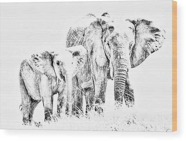 Elephant Wood Print featuring the photograph African Elephants by Aidan Moran
