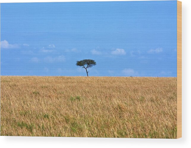 Landscape Wood Print featuring the photograph African Grasslands by Aidan Moran