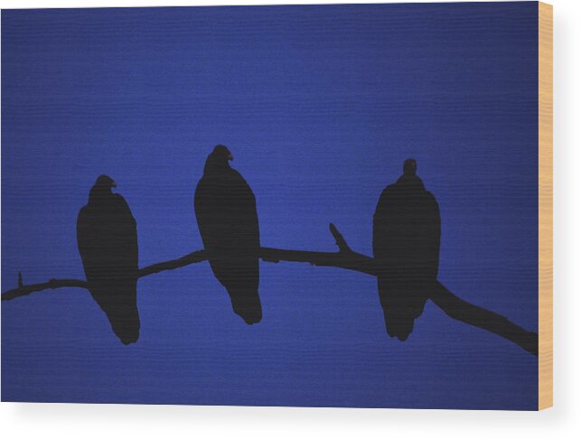 Kenya Wood Print featuring the photograph African Vultures in early nightfall. by Joe Connors