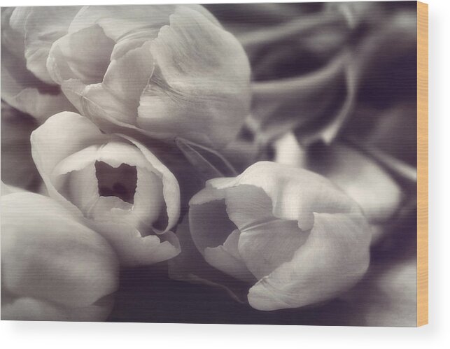 Floral Wood Print featuring the photograph Afternoon Delight by Darlene Kwiatkowski