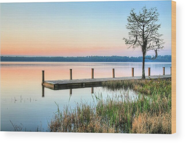 Alabama State Parks Wood Print featuring the photograph Alabama The Beautiful by JC Findley