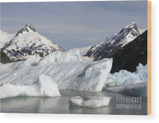 Alaska Wood Print featuring the photograph Alaskan Iceberg by Mark Newman