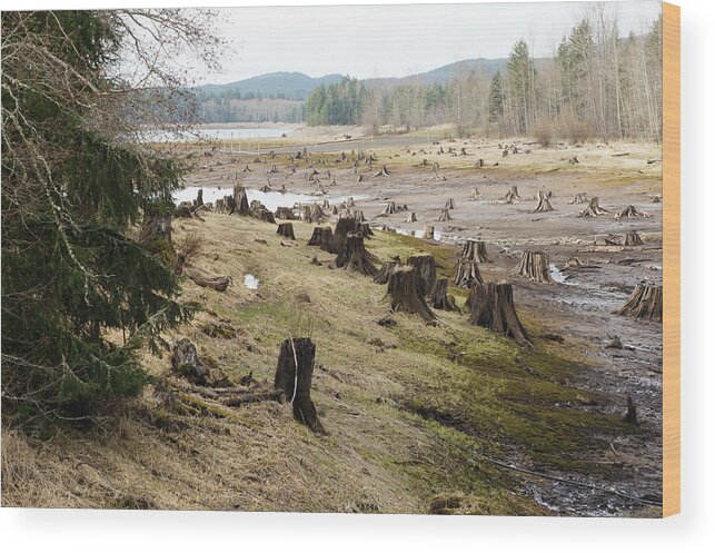 Wall Art Wood Print featuring the photograph Alder Lake by Ron Roberts