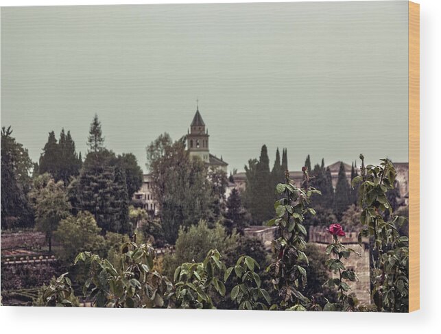 Alhambra Wood Print featuring the photograph Alhambra In The Rain - Spain by Madeline Ellis