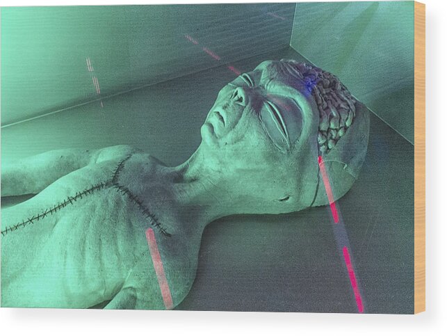  Wood Print featuring the photograph Alien Autopsy by Gary Warnimont