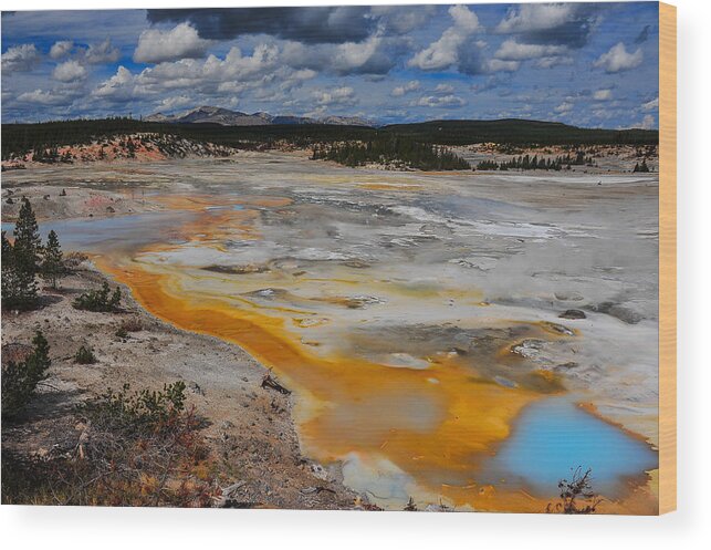 Yellowstone Wood Print featuring the photograph Alien Landscape by Harry Spitz