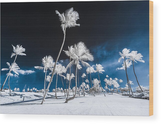 720 Nm Wood Print featuring the photograph Alien Palm Trees by Jason Chu