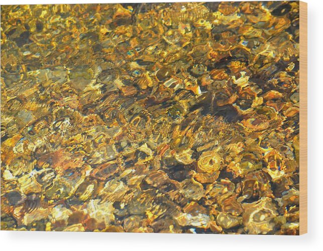 Abstract Wood Print featuring the photograph All That Glitters by Deena Stoddard