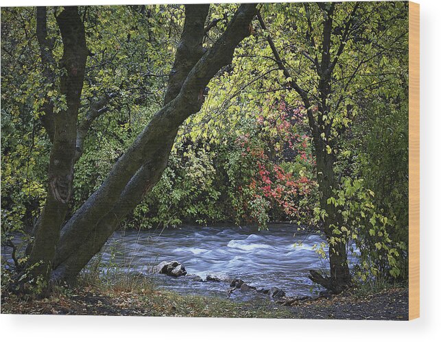 Autumn Wood Print featuring the photograph Along Swift Waters by Priscilla Burgers