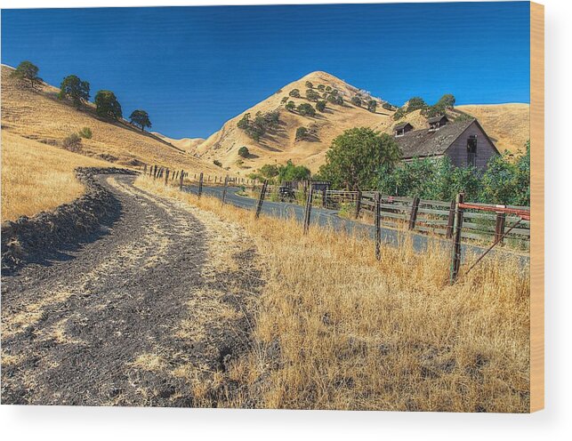 Tonemapped Wood Print featuring the photograph Along the Road by Robin Mayoff