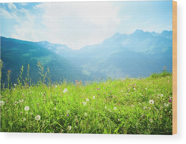 Scenics Wood Print featuring the photograph Alpine Meadow by Brzozowska