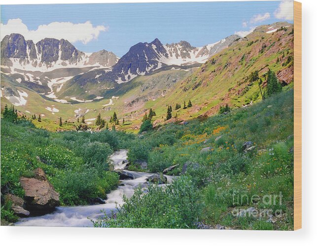 Mountain Wood Print featuring the photograph Alpine vista with wildflowers by Teri Atkins Brown
