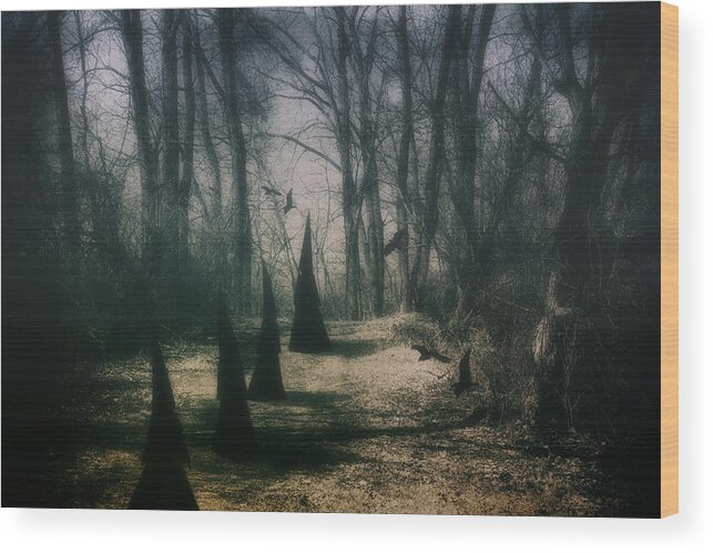 Coven Wood Print featuring the photograph American Horror Story - Coven by Tom Mc Nemar