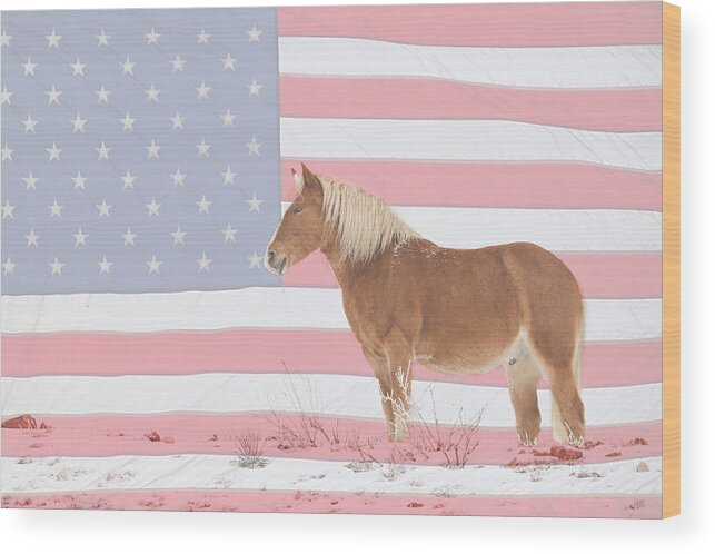 Palomino Wood Print featuring the photograph American Palomino by James BO Insogna