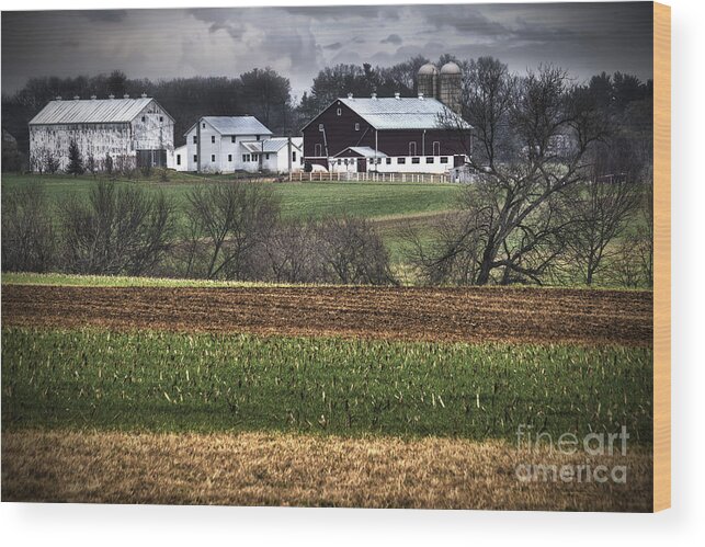 Pennsylvania Dutch Wood Print featuring the photograph Amish Farm by Gene Bleile Photography 